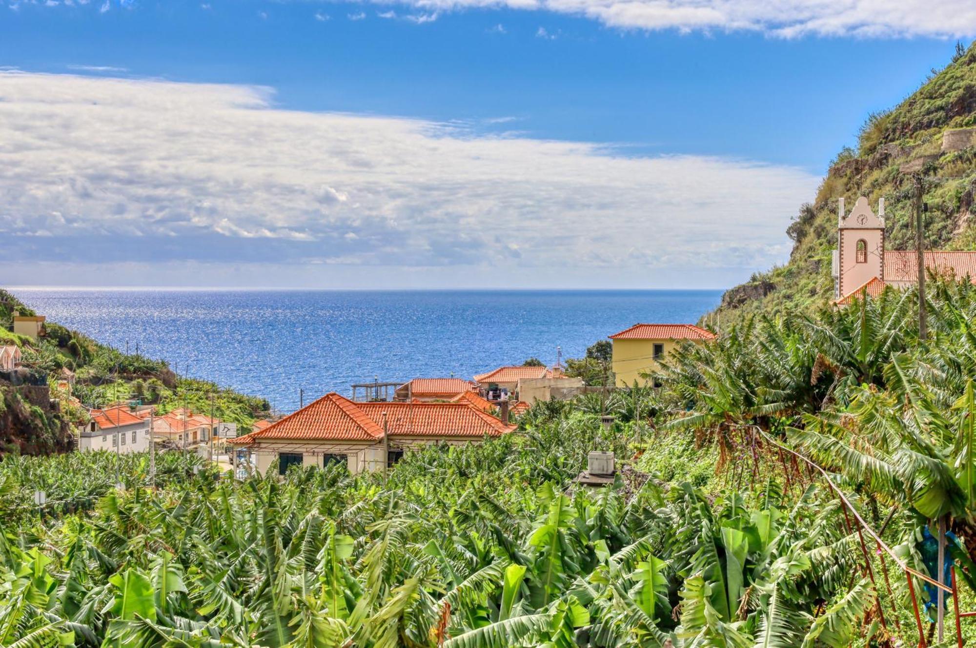Casa Da Praia, A Home In Madeira Ribeira Brava Εξωτερικό φωτογραφία